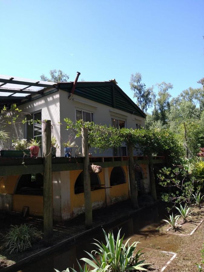 Cabanas Isla San Jose Tigre Zimmer foto